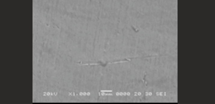 SEM image of uncoated SS