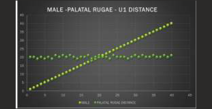 Measured value palatal rugae -U1- male